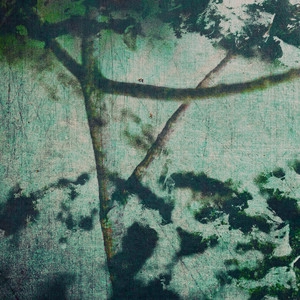 Track cover Vegetation Grows Thick