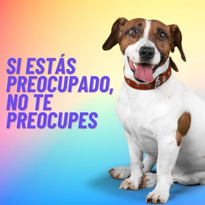 Track cover i hate love