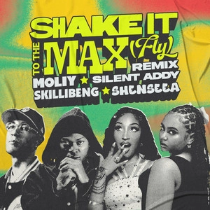 Track cover Shake It To The Max (FLY) - Remix