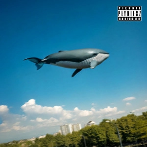 Track cover Pięknie płyniesz