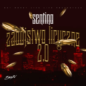 Track cover Vitalyi