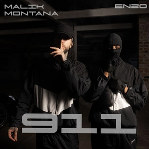 Track cover 911