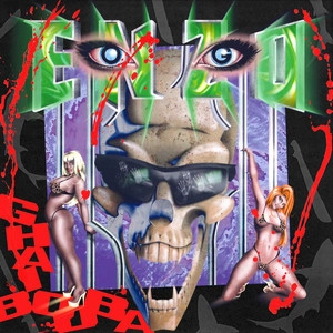 Track cover NARKOSAGA