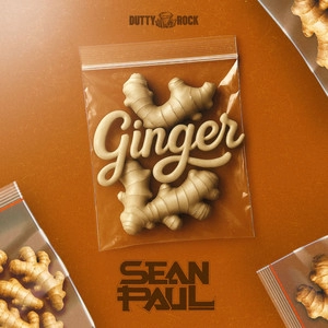 Track cover Ginger