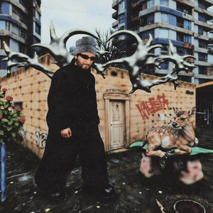 Track cover Никаких правил