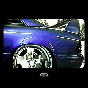 Track cover FWU