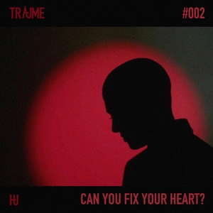 Track cover Can You Fix Your Heart?
