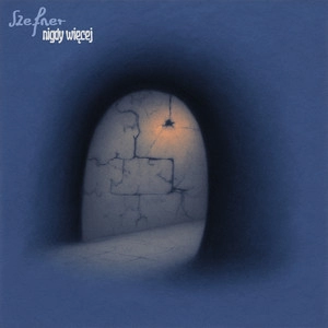 Track cover nigdy więcej