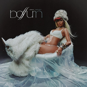 Track cover boffum
