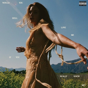Track cover Hi, Everyone Leave Please