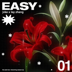 Track cover easy