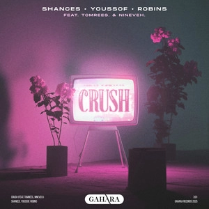 Track cover Crush