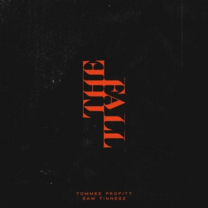 Track cover Deception