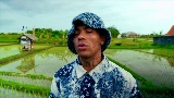 Video cover SET ME FREE