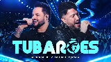 Video cover Tubarões - Ao Vivo