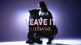 Video cover Leave it