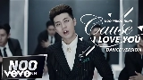 Video cover Cause I Love You