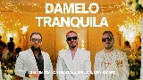 Video cover Damelo