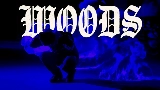 Video cover WOODS