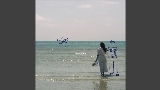 Video cover SAILOR DUDE