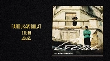 Video cover Степи