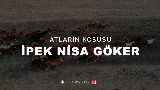 Video cover Atların Koşusu