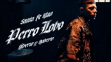 Video cover Perro Lobo
