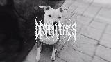 Video cover MARTINETE