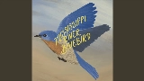 Video cover Mississippi River Bluebird