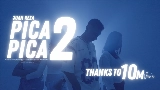 Video cover Pica Pica 2