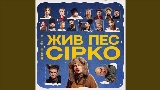 Video cover Це не сон - до к/ф Жив пес Сірко