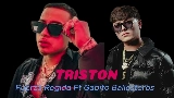 Video cover triston