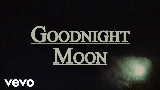 Video cover Goodnight Moon
