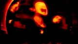 Video cover Fresh Tendrils