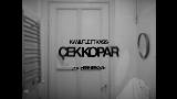 Video cover çek kopar