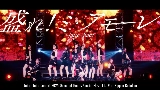 Video cover 盛れ！ミ・アモーレ - Concert 2025 Queen of Hearts Special Flush