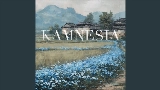 Video cover KAMNESIA