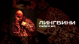 Video cover ЛИНГВИНИ