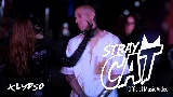 Video cover Stray Cat