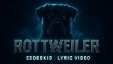 Video cover Rottweiler