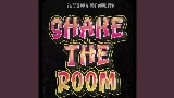 Video cover Shake The Room