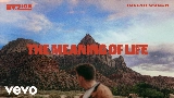 Video cover The Meaning Of Life