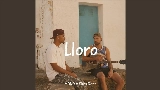 Video cover Lloro