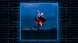 Video cover Flowers & Guns