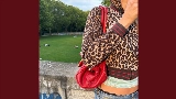 Video cover Leopard