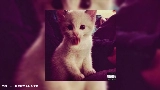 Video cover янпс