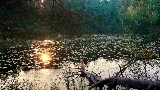 Video cover Mother's Love Conquers All