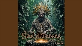 Video cover Soul Drumming