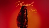 Video cover Physical