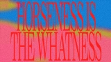 Video cover Horseness Is The Whatness